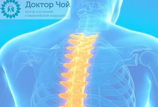 Остеохондроз грудного отдела позвоночника