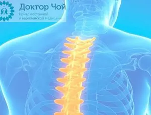 Остеохондроз грудного отдела позвоночника