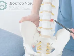 Межпозвоночные диски восстанавливаются! Как помочь позвоночнику вернуть здоровье в Москве